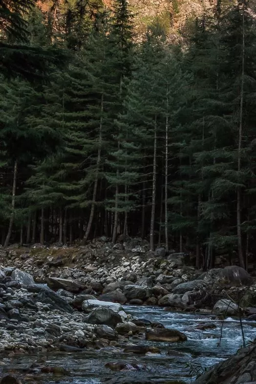 Photo of Parvati Valley by Nehal Khan