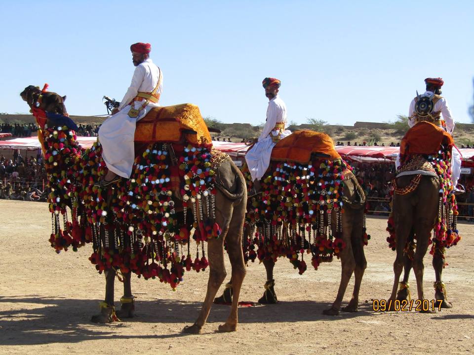 Photo of An indelible trip to the Blue City and the Golden City of India 11/15 by Subhangkar Das