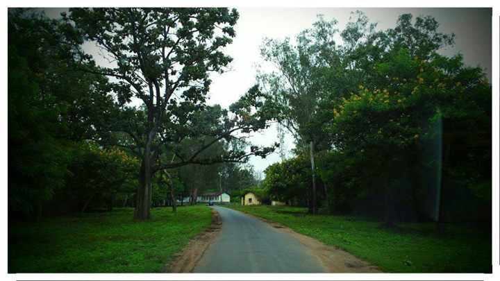 Photo of Thirunelly, Wayanad, Kerala, India by মুনমুন শান্তনু