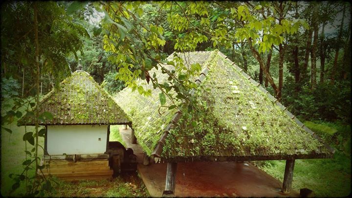 Photo of Thirunelly, Wayanad, Kerala, India by মুনমুন শান্তনু