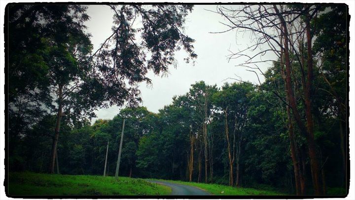 Photo of Thirunelly, Wayanad, Kerala, India by মুনমুন শান্তনু