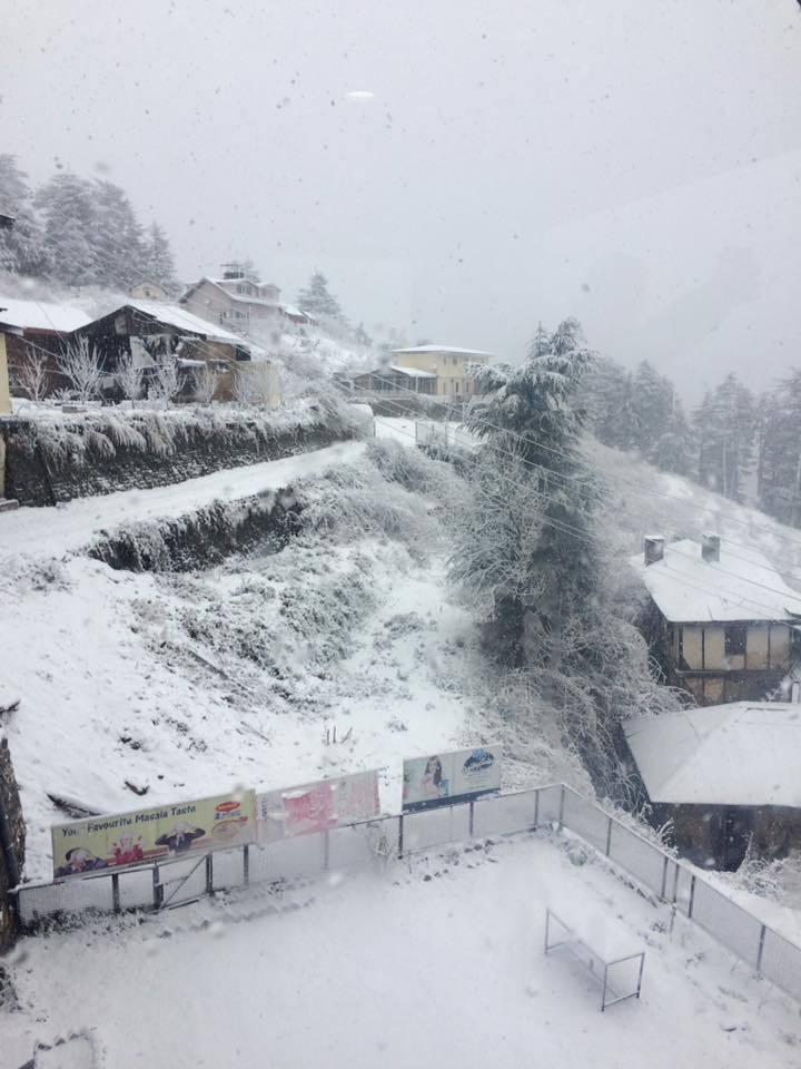 Photo of The White Winter Experience- Road Trip from Delhi to Shimla. 2/5 by Sharbani Ghosh