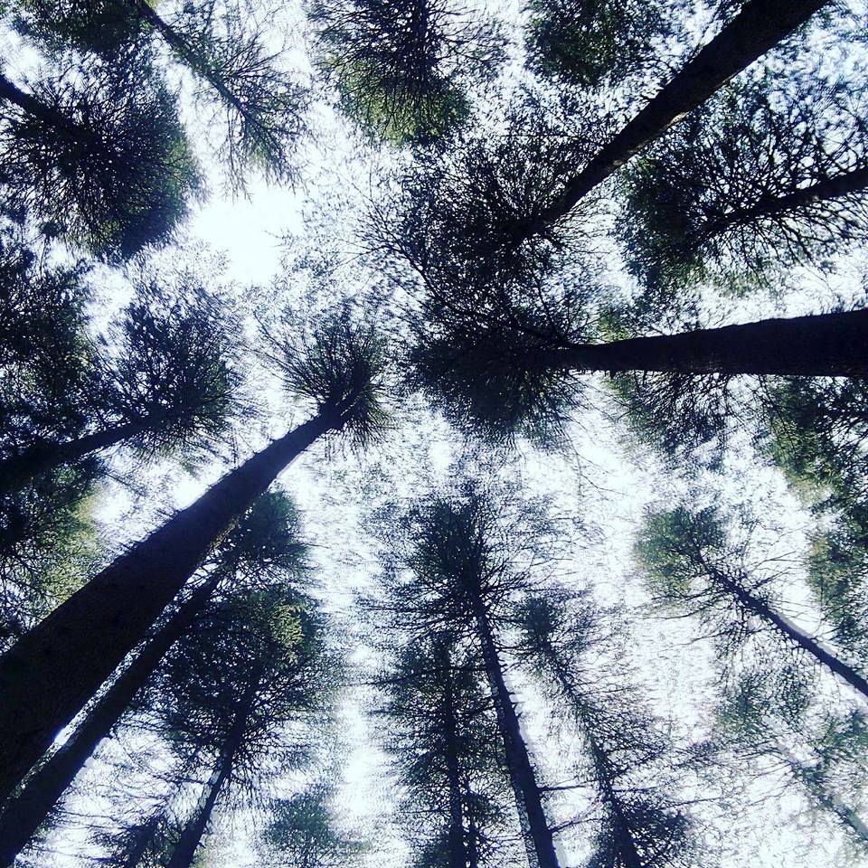 Photo of My First Solo Trip in North India: Manali 2/10 by Surjodeep Bose