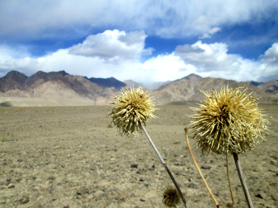 Photo of Ladakh, a trip to remember 6/12 by Garima Bhaskar