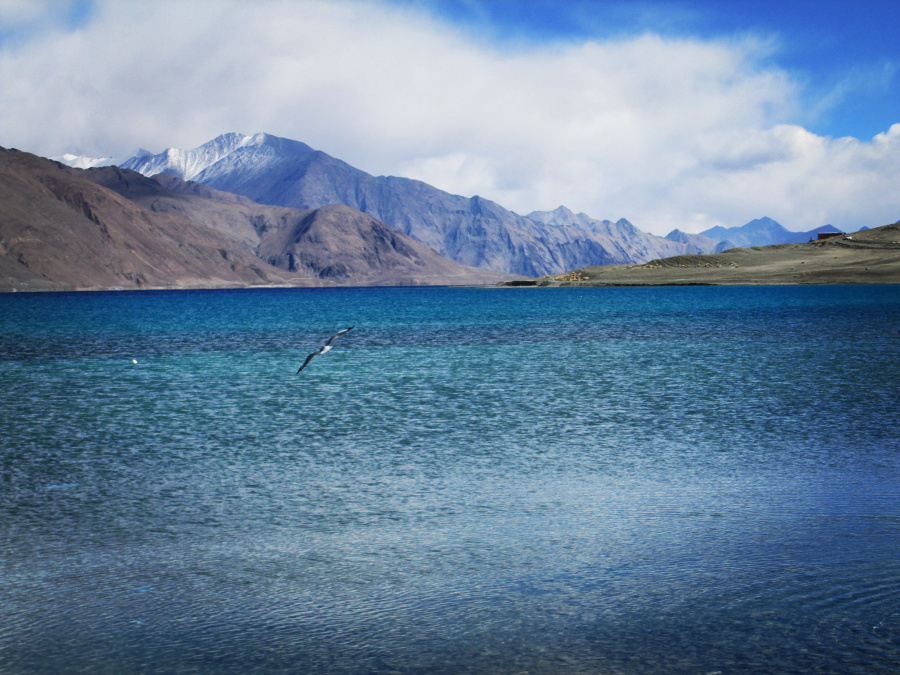 Photo of Ladakh, a trip to remember 12/12 by Garima Bhaskar