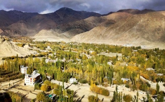 Photo of Magical Nubra Valley, Leh, Ladakh, India 1/6 by Garima Bhaskar