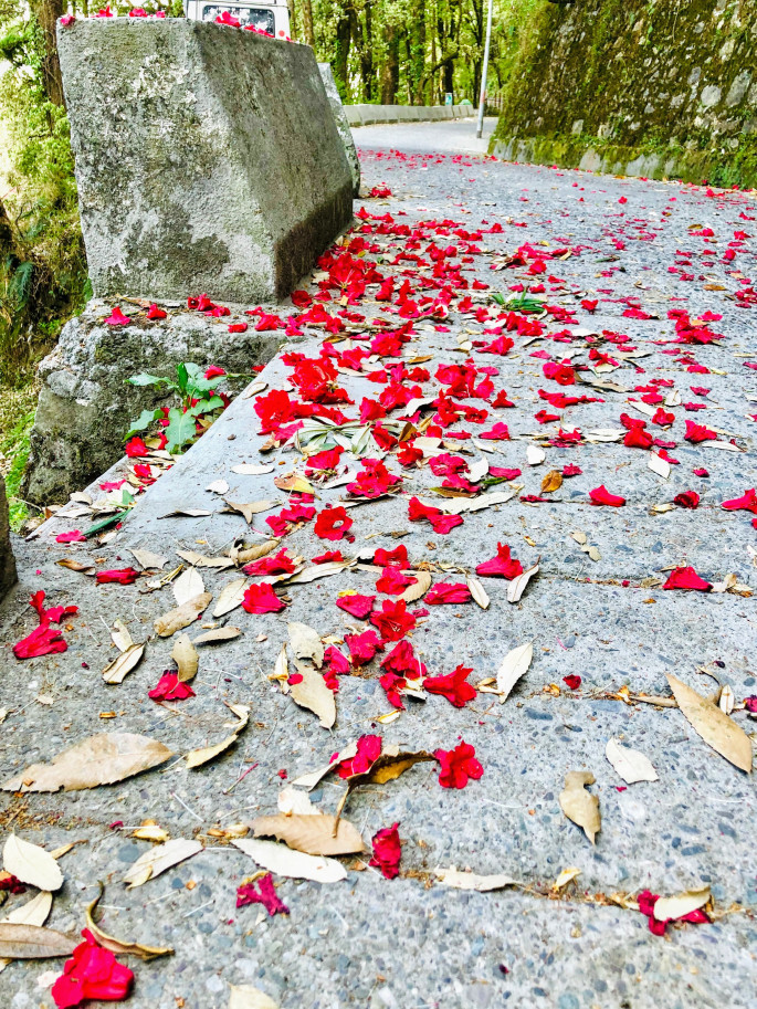 Photo of Landour - A Quaint Himalayan Town !!! 2/11 by Richa Devale