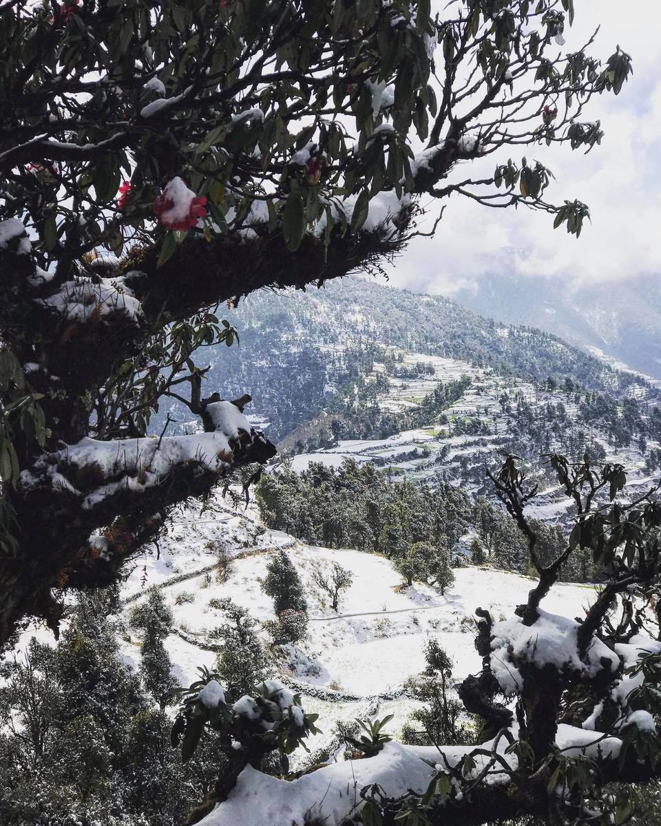 Photo of Uttarakhand, India by Divyansh