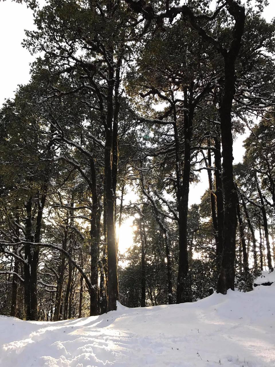 Photo of Uttarakhand, India by Divyansh