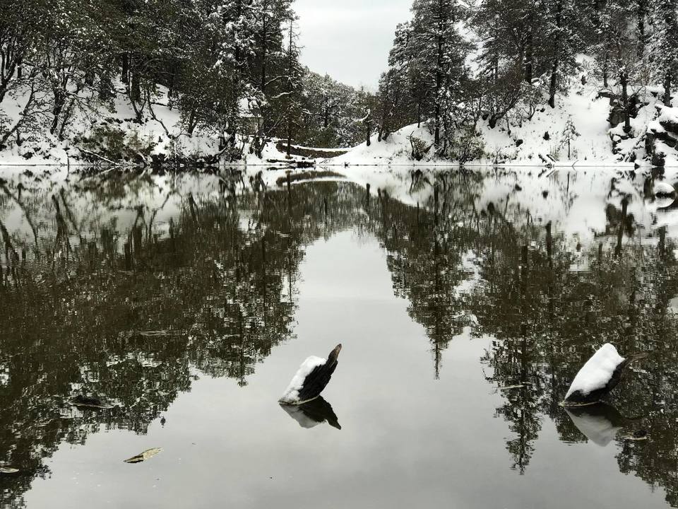 Photo of Uttarakhand, India by Divyansh
