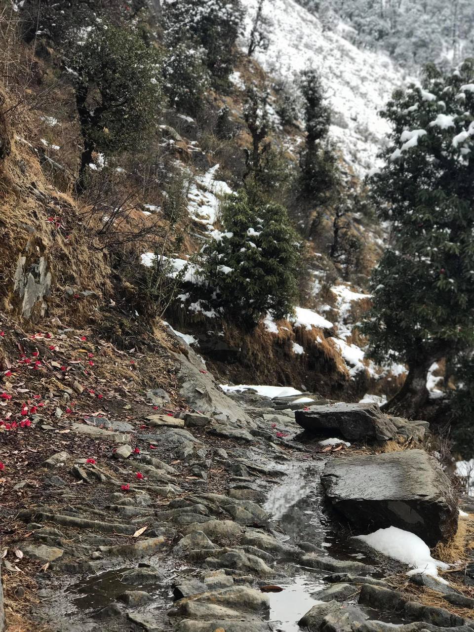 Photo of Uttarakhand, India by Divyansh