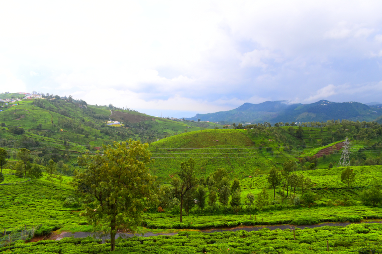 Photo of When the radio took us to Kotagiri! 7/12 by Travelmynation