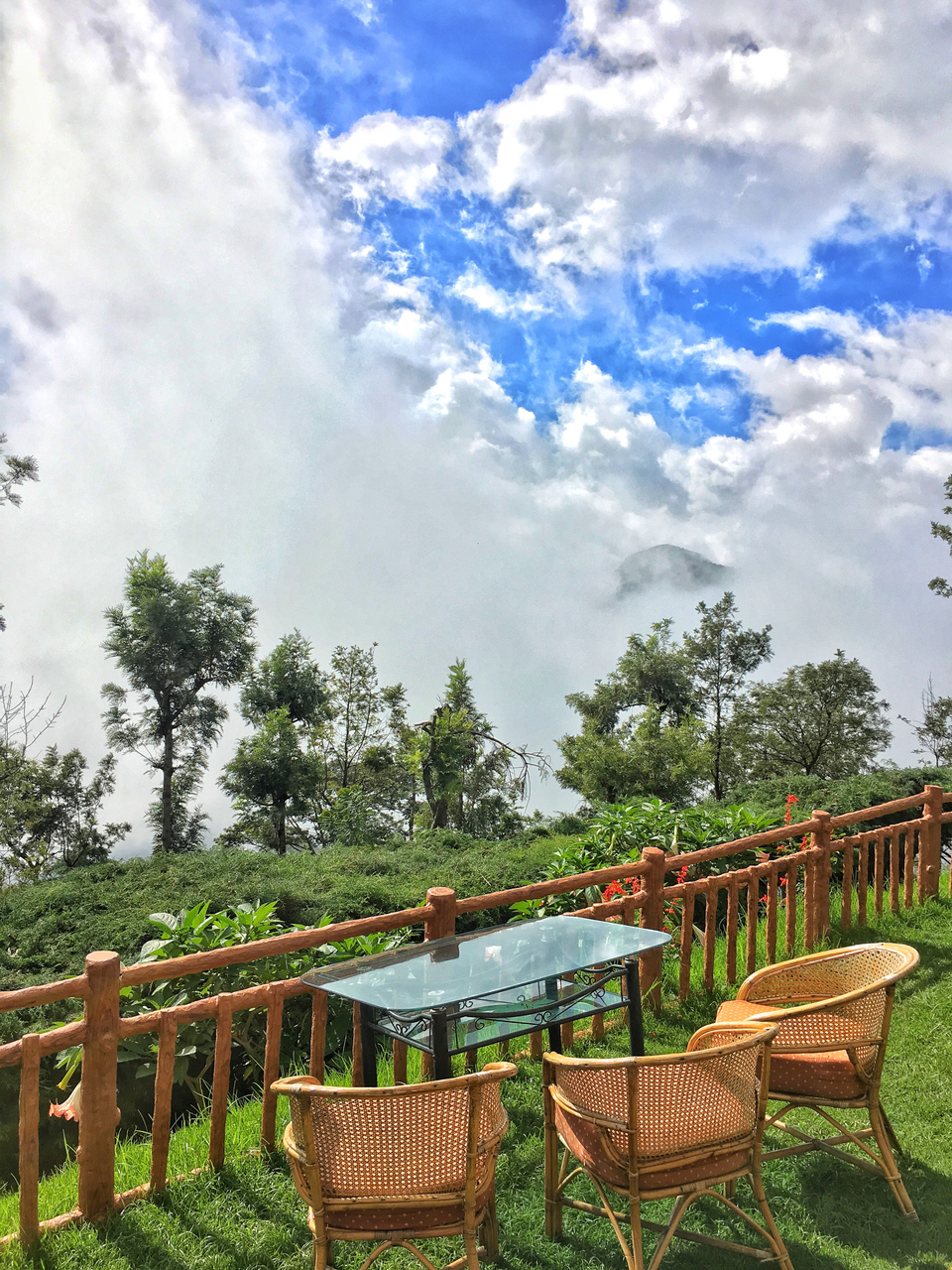 Photo of Tea Nest, Alwarpet, Coonoor, Tamil Nadu, India by Travelmynation