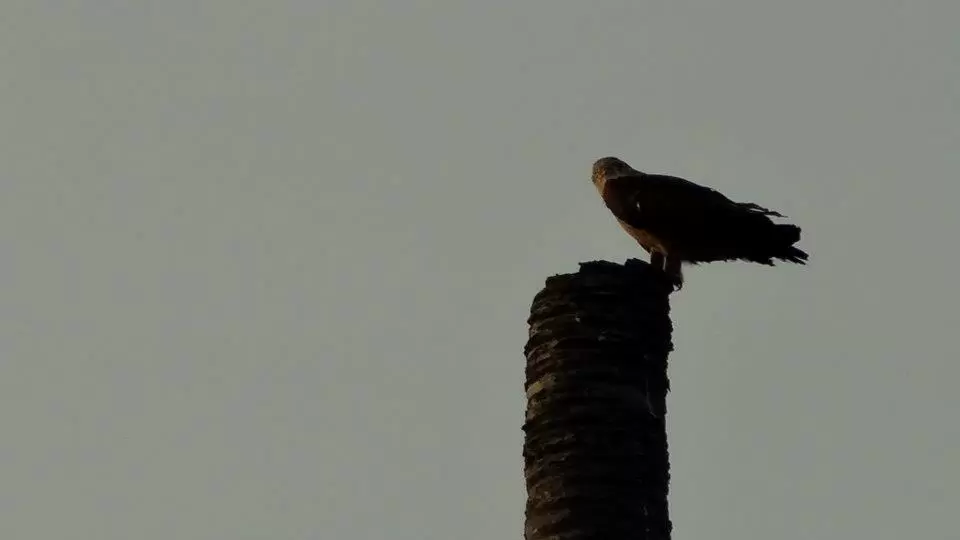Photo of Kerala by bidisha