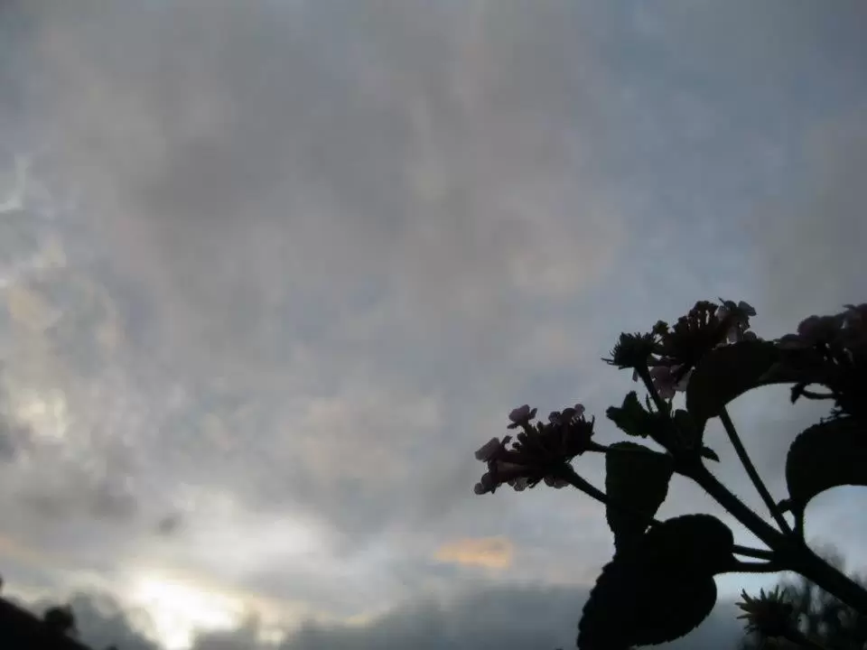 Photo of Kerala by bidisha