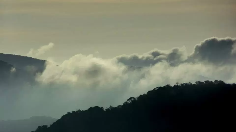Photo of Kerala by bidisha