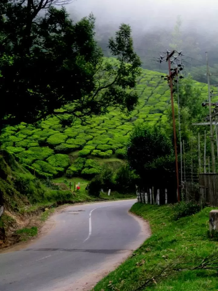 Photo of Kerala by bidisha