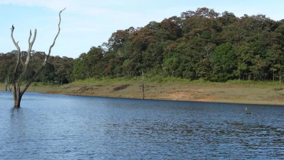 Photo of Kerala by bidisha