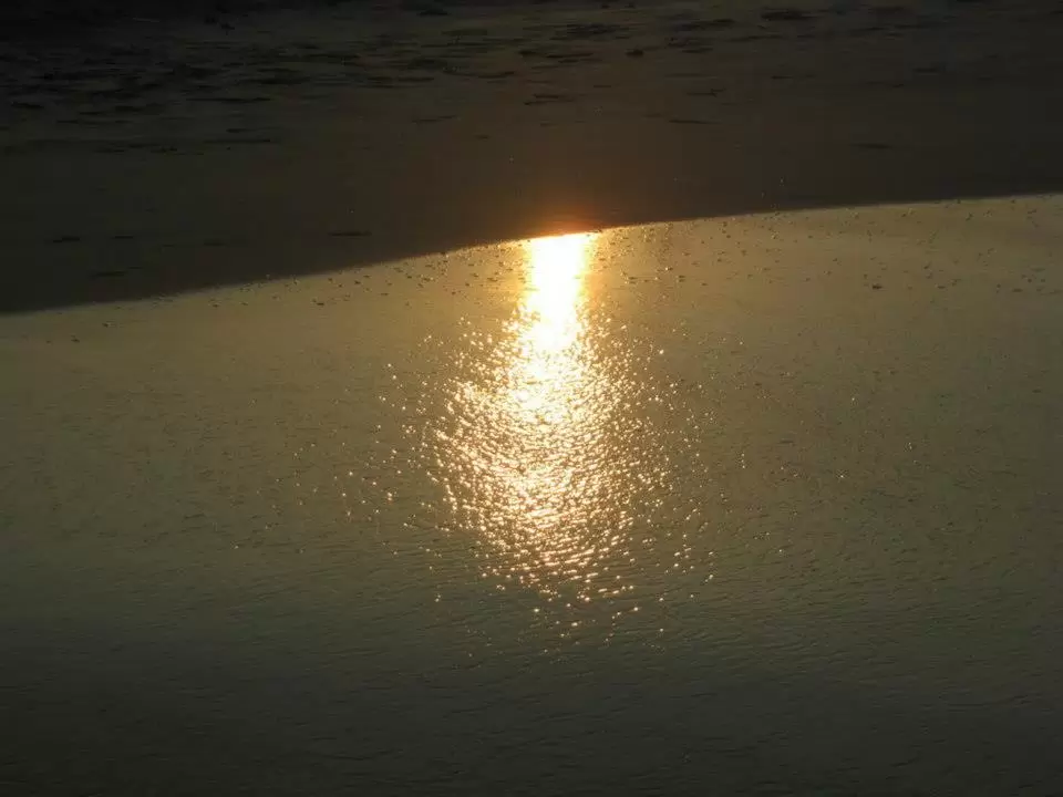 Photo of Kerala by bidisha
