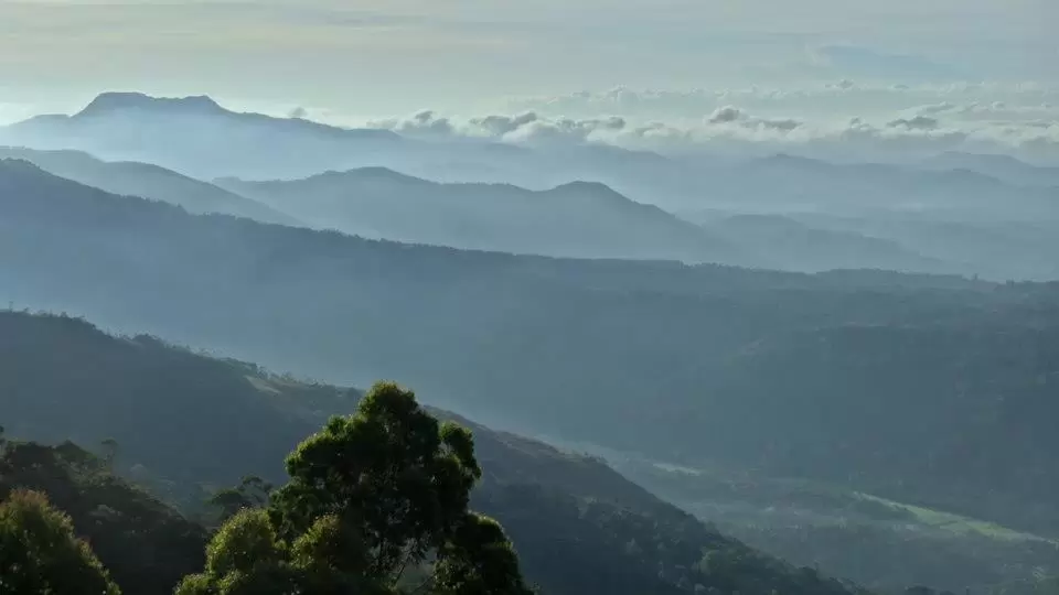 Photo of Kerala by bidisha