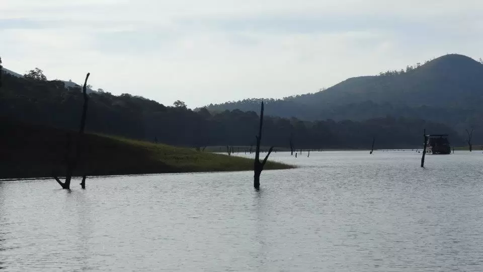 Photo of Kerala by bidisha