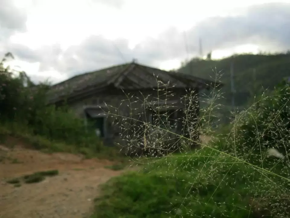 Photo of Munnar Kerala by bidisha
