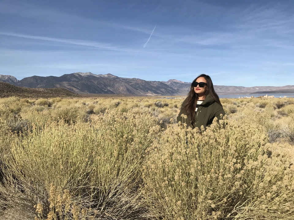 Photo of Mono Lake, California, USA by christinacolney