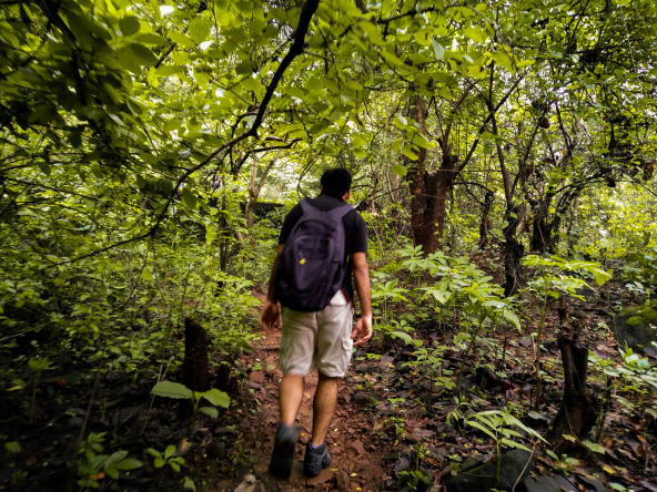 Photo of 16,000 Steps | 2300 feet | My Trekking Story | Travel Blog | Kalavantin Durg - 2016 by The HodoPillais