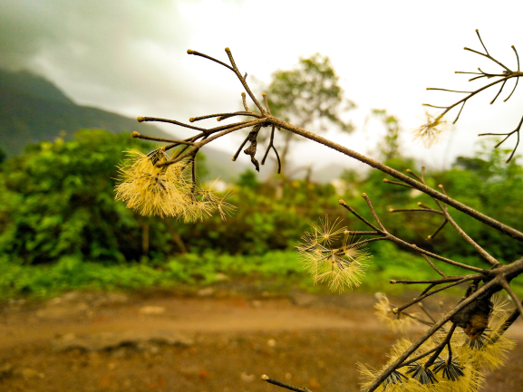 Photo of 16,000 Steps | 2300 feet | My Trekking Story | Travel Blog | Kalavantin Durg - 2016 by The HodoPillais