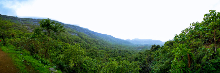 Photo of 16,000 Steps | 2300 feet | My Trekking Story | Travel Blog | Kalavantin Durg - 2016 by The HodoPillais