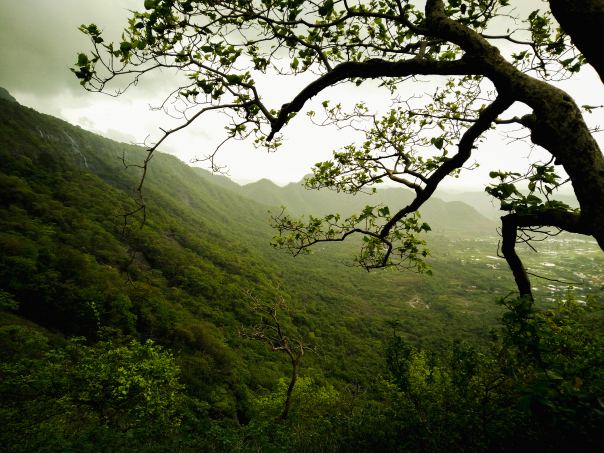 Photo of 16,000 Steps | 2300 feet | My Trekking Story | Travel Blog | Kalavantin Durg - 2016 by The HodoPillais