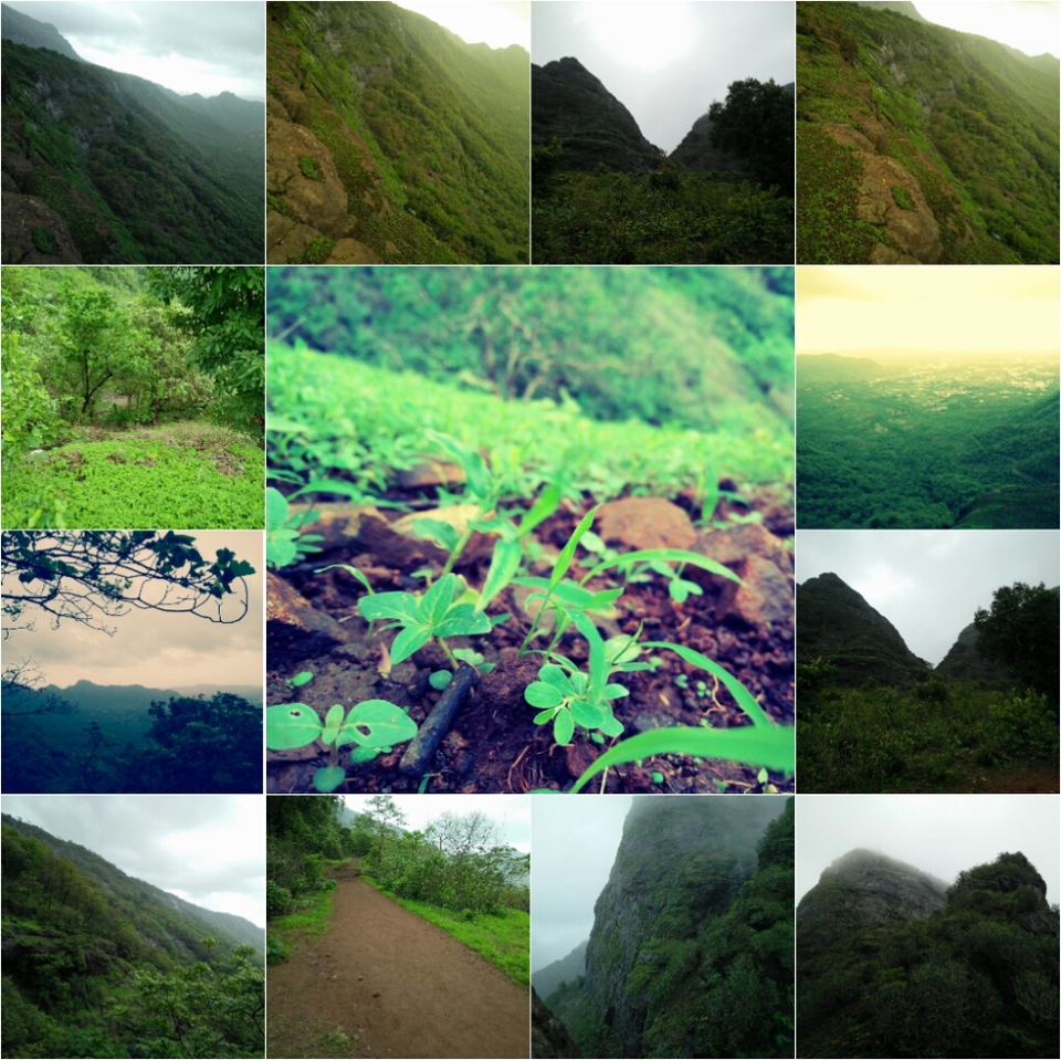 Photo of 16,000 Steps | 2300 feet | My Trekking Story | Travel Blog | Kalavantin Durg - 2016 by The HodoPillais