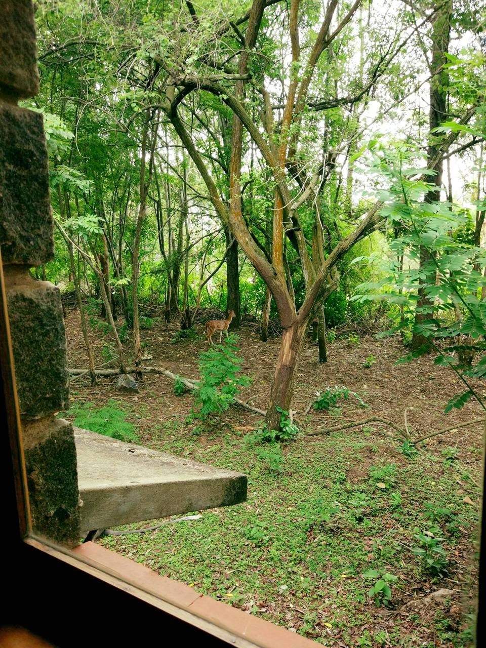 Photo of A Place you cannot afford to miss when you plan to visit the Western Ghats! by Gouthami Vasudev