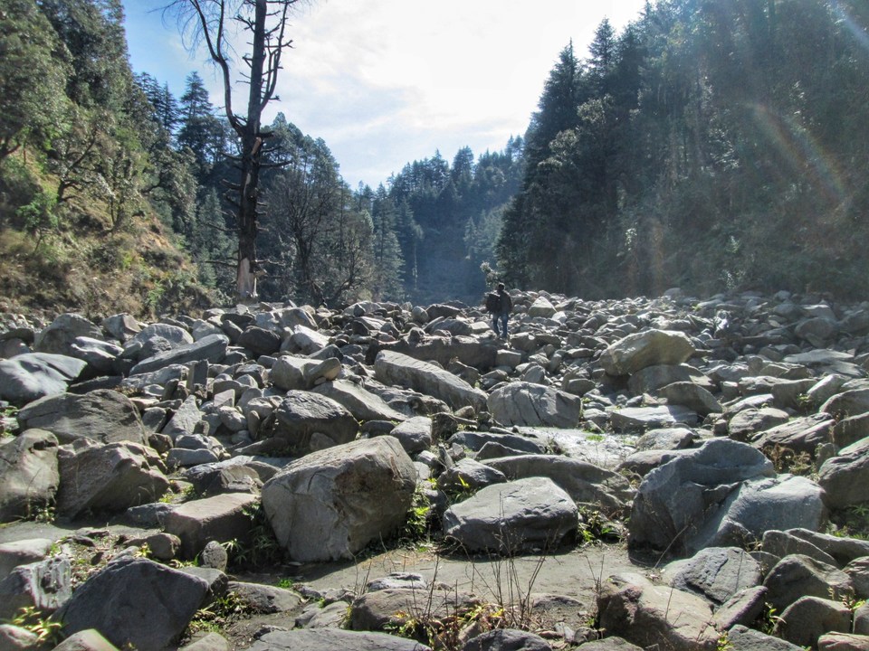 Photo of Baggi Village, Guhral, Himachal Pradesh, India by Mayank Gupta