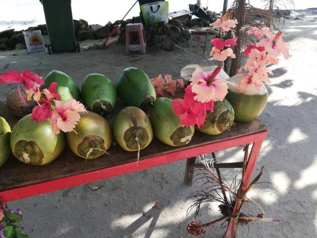 Photo of SEYCHELLES: What you need to know! 4/5 by Kanupriya Agarwal