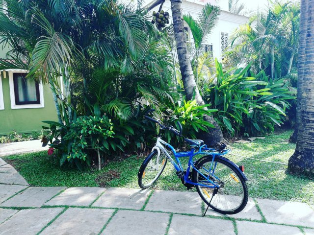 Photo of MY FIRST SOLO TRIP!! 2/12 by Kanupriya Agarwal
