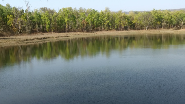 Photo of An unforgettable trip to Kanha! 4/22 by Kanupriya Agarwal