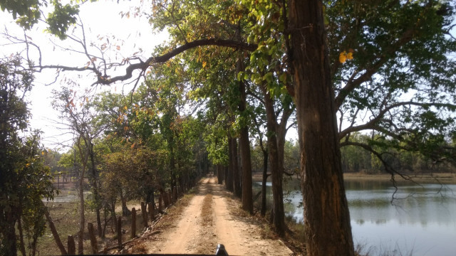 Photo of An unforgettable trip to Kanha! 5/22 by Kanupriya Agarwal