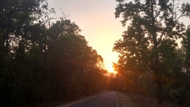 Photo of An unforgettable trip to Kanha! 7/22 by Kanupriya Agarwal