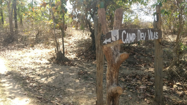 Photo of An unforgettable trip to Kanha! 8/22 by Kanupriya Agarwal