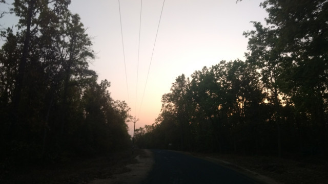 Photo of An unforgettable trip to Kanha! 9/22 by Kanupriya Agarwal