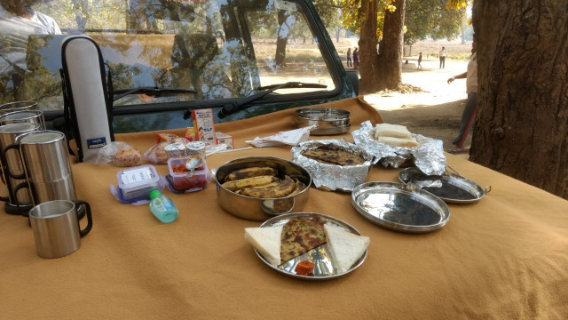 Photo of An unforgettable trip to Kanha! 12/22 by Kanupriya Agarwal