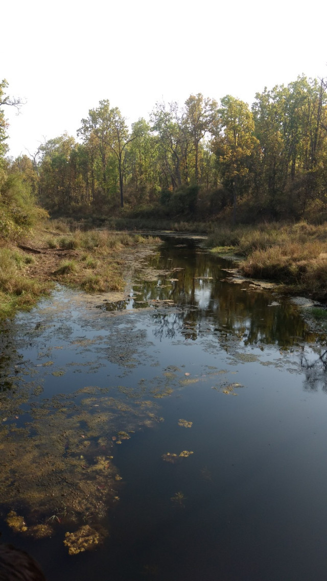 Photo of An unforgettable trip to Kanha! 13/22 by Kanupriya Agarwal