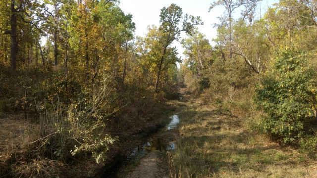 Photo of An unforgettable trip to Kanha! 14/22 by Kanupriya Agarwal