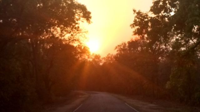 Photo of An unforgettable trip to Kanha! 15/22 by Kanupriya Agarwal