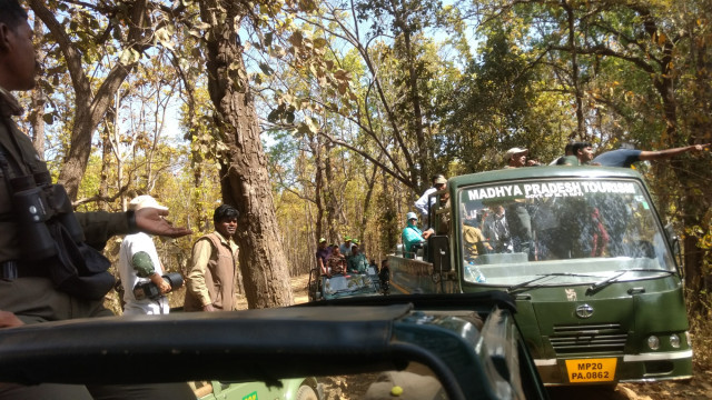 Photo of An unforgettable trip to Kanha! 16/22 by Kanupriya Agarwal