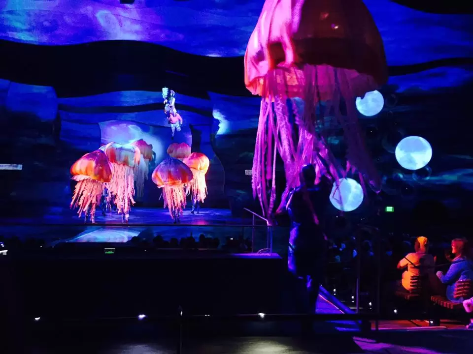 Photo of Disney's Animal Kingdom Theme Park, Osceola Parkway, Orlando, FL, United States by Pooja Galgali