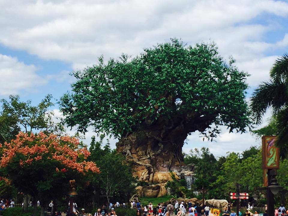 Photo of My First Disney Experience in Orlando. by Pooja Galgali