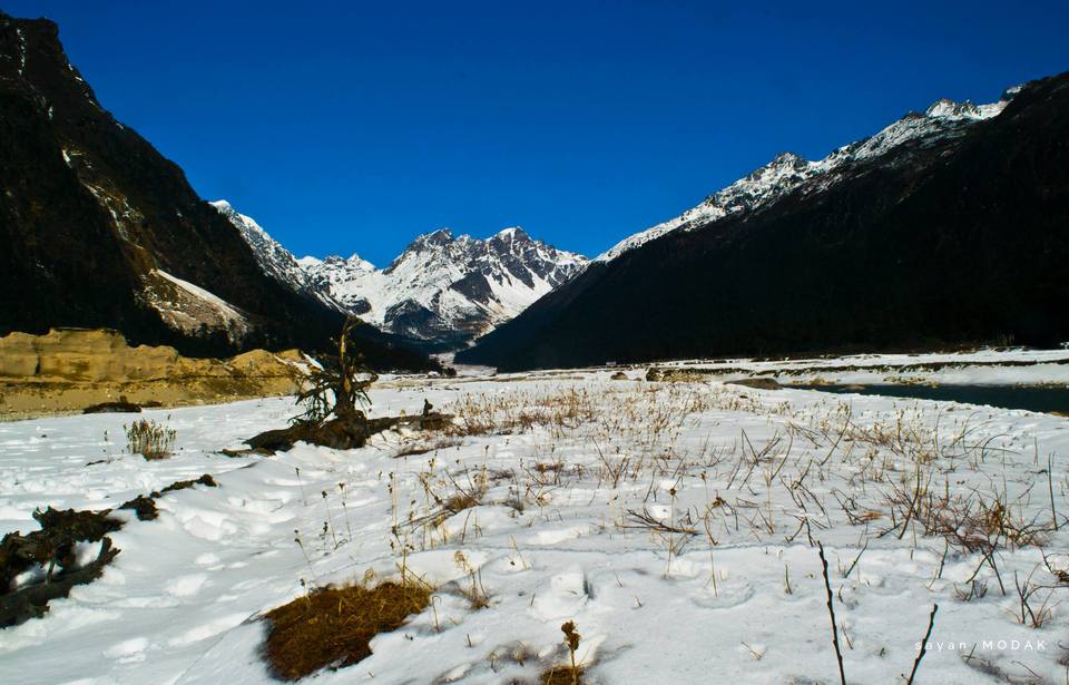 Photo of Sikkim January 2k15 5/29 by Sayan Modak