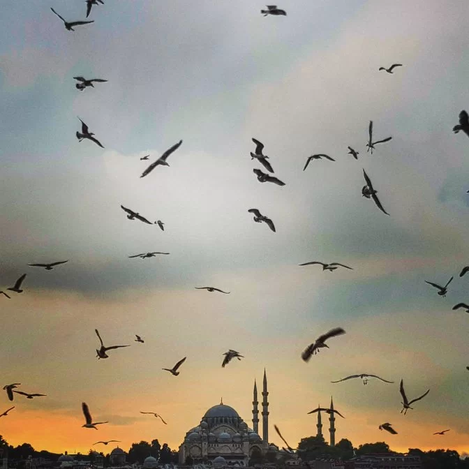 Photo of Sultanahmet, Alemdar, Fatih/İstanbul, Turkey by TheCorporateWanderer